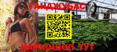 шишки Будённовск