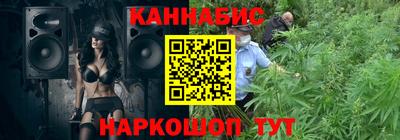 шишки Будённовск