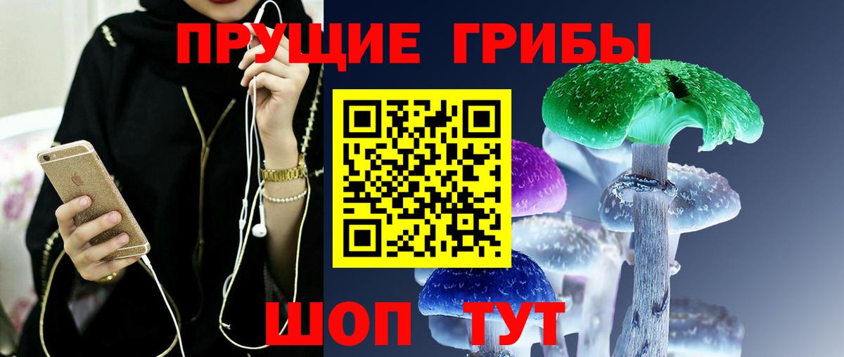 Псилоцибиновые грибы Psilocybine cubensis Полевской